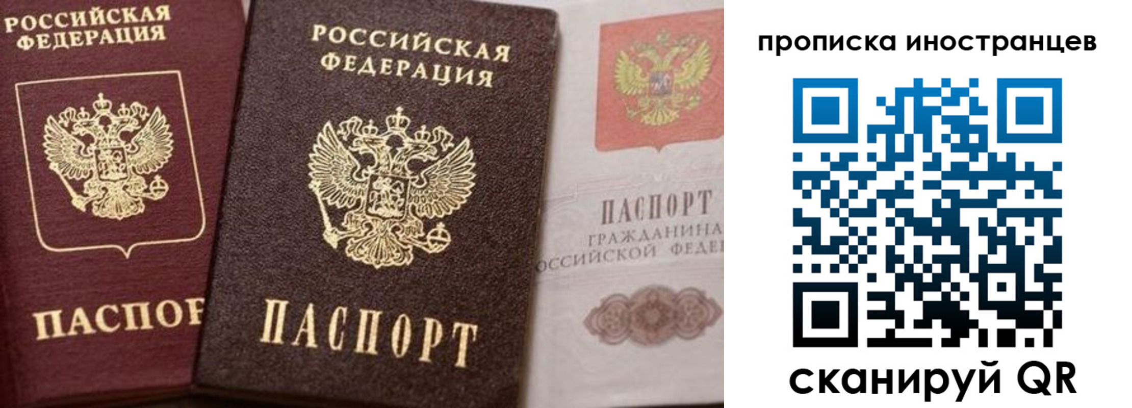 прописка гарантия в Муроме